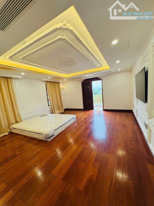 Villa đẳng cấp hoàng gia, full gỗ. Đường số 4, Cityland Nguyễn Thị Thập. 390m2, ngang 15m - 8