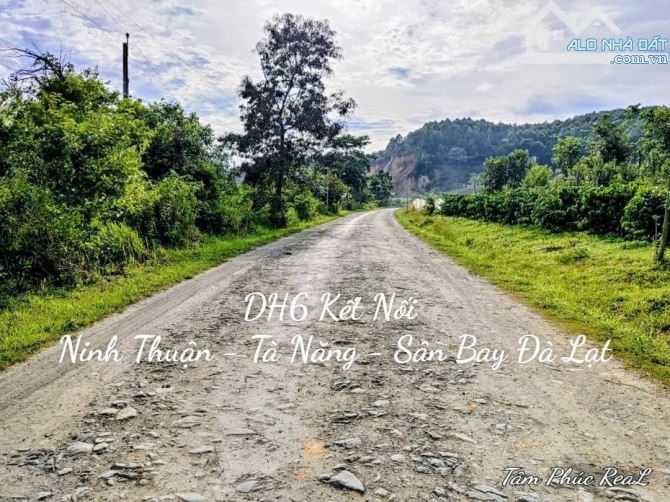 Bán nhanh 2.5ha đất bám suối xã Tà Năng,Lâm Đồng giá rẻ chỉ 100 triệu/sào thương lượng - 8