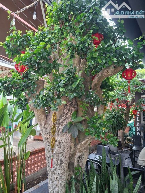 🔥Bán nhà có quán cafe MILANO đông khách nhất biển Tam Thanh Tam Kỳ, đường 27m truc chinh - 9