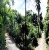 Đất Đẹp 18x17m Đường Bùi Công Trừng X.Nhị Bình Hóc Môn Giá 4.8 Tỷ Thổ Cư 200m2