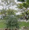 🏡 SIÊU PHẨM NHÀ CẤP BỐN VIEW CÔNG VIÊN, GIÁP SÔNG HÀN CHỈ 13,1TỶ
