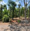 LÔ THỔ CƯ 13x75m HẺM PHAN HUY CHÚ - BMT - ĐAKLAK 1.9Tỷ