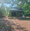 🔥 Bán đất vườn 3.500m² có 300m² thổ cư, nhà vườn trái cây, mặt tiền bê tông gần QL13 chỉ
