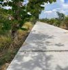 ✅ Bán 1000m2 đất lúa đường 5m thuộc Ấp 3 , Hoà Phú , Châu Thành _ DT: 12.8 x 84m2