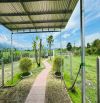 Nhà vườn Đẹp giá Rẻ - Diên Đồng - Diên Khánh - Khánh Hòa