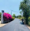 VƯỜN NHÃN CỰC ĐẸP, SẴN THỔ CƯ, GẦN TỈNH LỘ, LIỀN KỀ CAO TỐC LONG THÀNH - BIỂN HỒ TRÀM