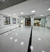 Bán gấp tòa nhà Văn Phòng khu phố Trần Thái Tông 410m2 x 10 tầng + 1 hầm - 189 tỷ