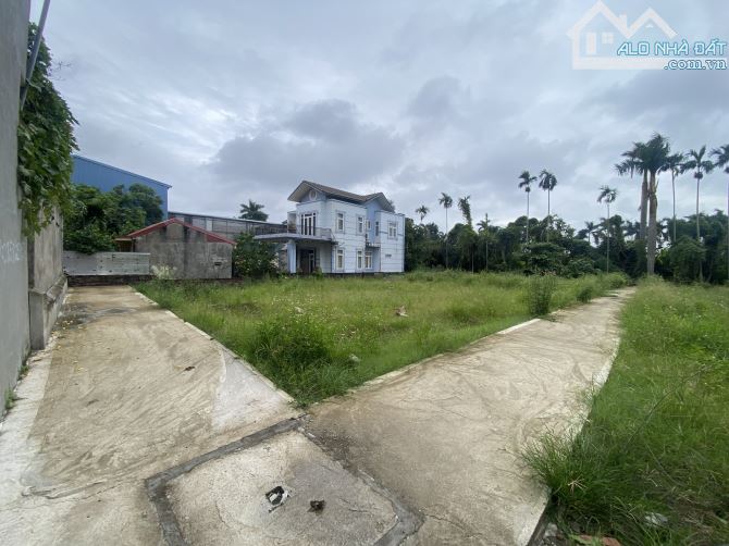 Bán đất phân lô đường Hùng Vương cách mặt đường chỉ 50m