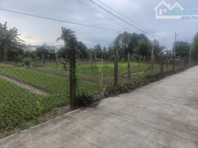 Phước Hậu Cần Giuộc 500m đất vườn phủ hồng  đường xe hơi tới đất chỉ 1tỷ3 - 6