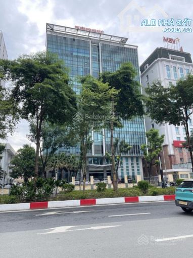 Hiếm! Mặt phố Liễu Giai – Ba Đình, Mặt tiền rộng 6,5m, Vị trí vàng, kinh doanh đỉnh