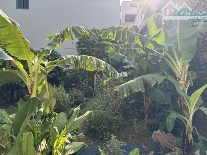 YÊN HÀ HẢI BỐI PHÂN LÔ VUÔNG VẮN-NGÕ RỘNG Ô TÔ RANGROVER 100m2-MT=6.2M