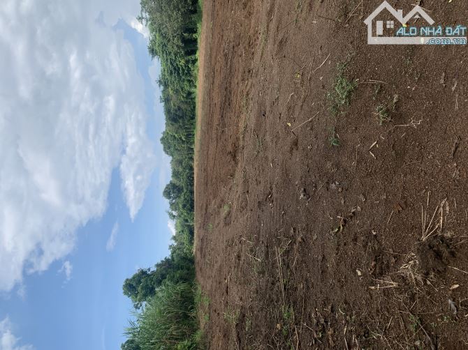 CẦN BÁN LÔ ĐẤT VIEW SUỐI NƯỚC CHẢY QUANH NĂM GẦN DÂN CƯ THÍCH HỢP XÂY DỰNG NGHỈ DƯỠNG
