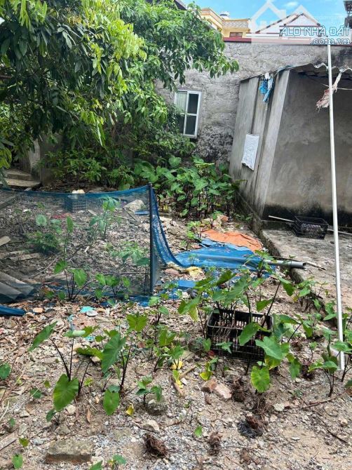 Chính Chủ Bán Đất Cổ Bi, 39m2 Ô tô Đỗ Cổng, Giá 3,09 Tỷ