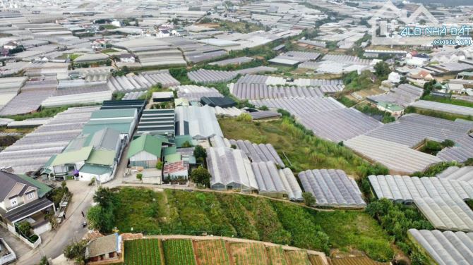 Cần bán lô đất 1100m2 Trịnh Hoài Đức - Đà Lạt.