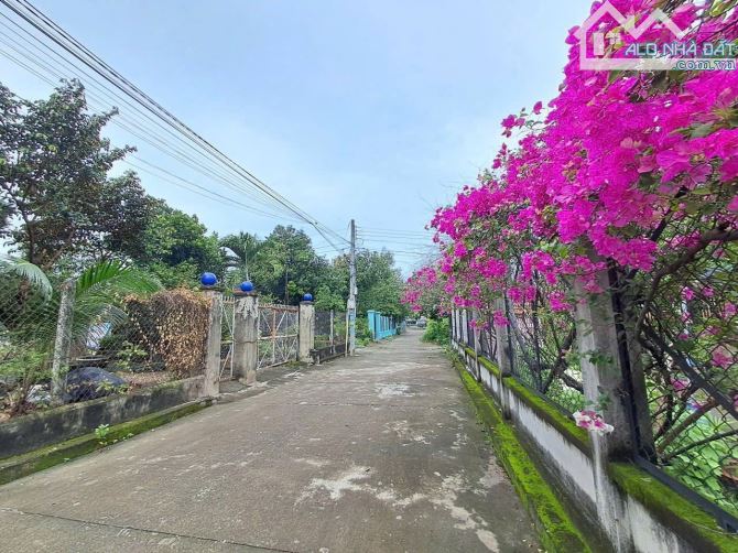 MPTV cách Trần Ngọc Lên chỉ hiện 100m 5 x 26 thổ cư 97m
