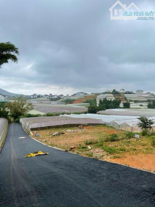 322m2 Đất Biệt Lập Đường Trần Quang Khải Gần Trường Đại Học Đà Lạt 13,5 Tỷ