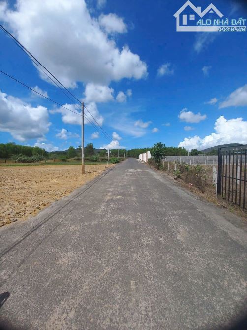 BÁN ĐẤT THỊ TRẤN PHƯỚC HẢI - TP HCM.DT 133m2(5×27) SÁT ĐT 996C GIÁ 1TY1 - Vị trí: khu dân