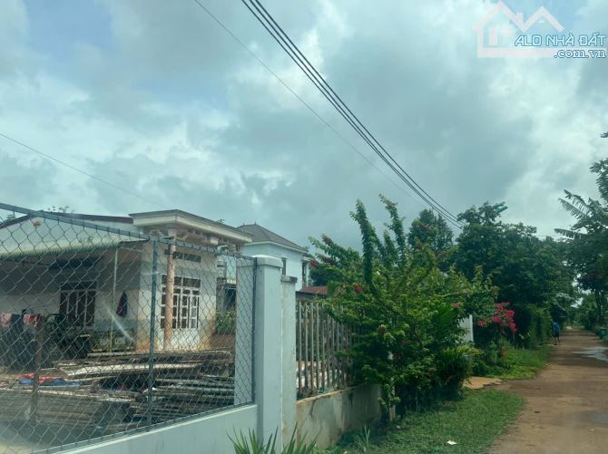 Bán đất hẻm cấp 1 Nguyễn xuân nguyên 6x30 giá bao đẹp