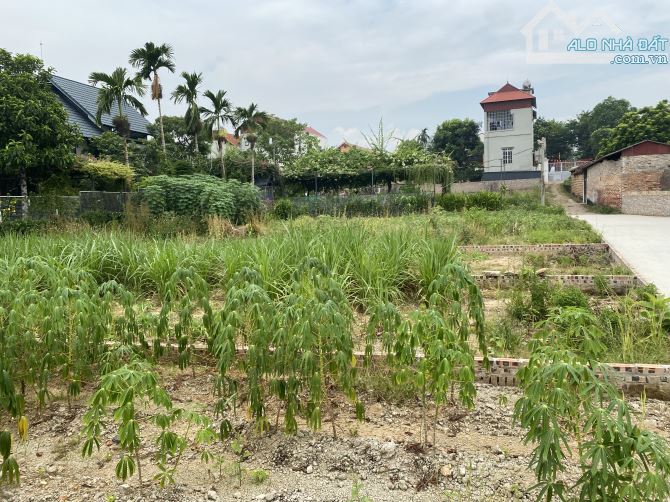 💥Bán 100m Ô tô vào đất Thắng Trí Minh Trí Sóc Sơn ( Kim Anh Hà Nội)