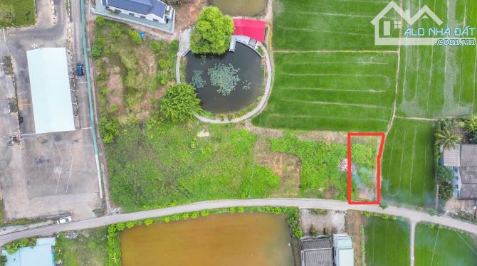 Cần bán gấp lô đất thổ cư 2 MT tại Bến Lức