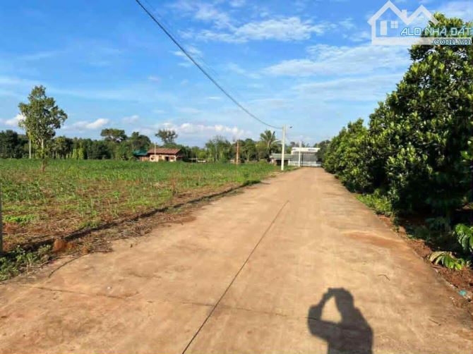 Bán gấp chính chủ thôn 3 cusue