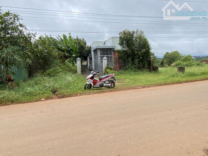 🔥🔥Bán đất đường Khúc Thừa Dụ, Dambri phường 2 Bảo Lộc. NGÃ 5 DAMBRI