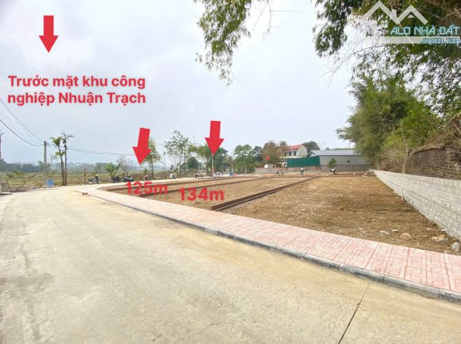 CẦN BÁN 134M SÁT KCN NHUẬN TRẠCH LƯƠNG SƠN HB 1,X TỶ