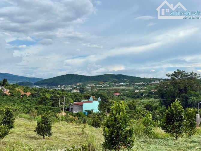 Đất nghỉ dưỡng ven Đà Lạt sẵn thổ cư và cây ăn trái