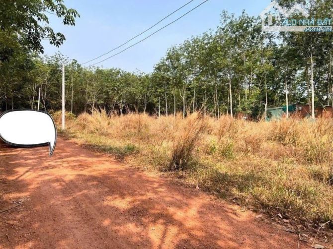 Sổ riêng 5x45x100tc giá 4xxtr sát DT749A dân đông , chủ kẹt nặng bán gấp