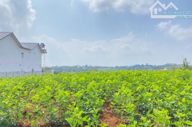 Lô góc 2 mặt tiền Trần Nhật Duật Dambri, Phường 2 Bảo Lộc👉GIÁ CỰC TỐT