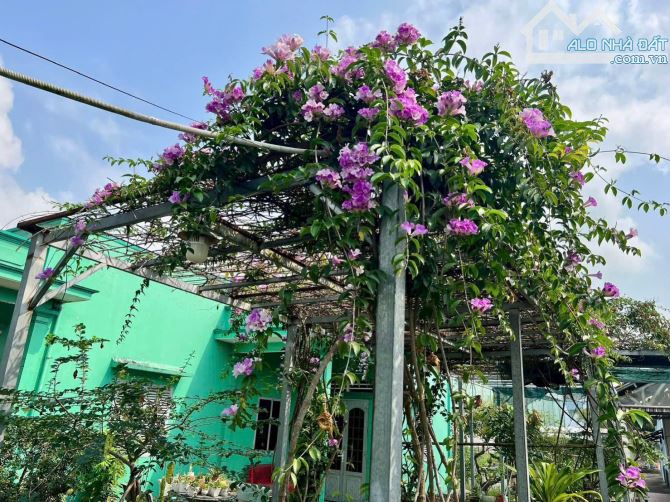 biệt thự mặt tiền DT826, xã Mỹ Lệ, Cần Đước  3000m2 có thổ cư - 11
