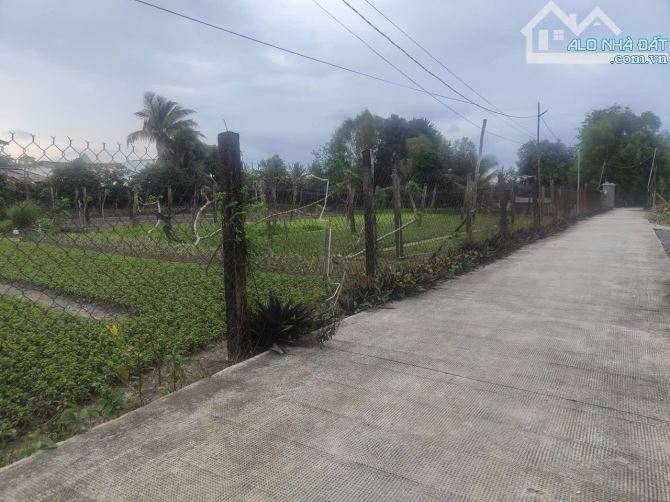 Phước Hậu Cần Giuộc 500m đất vườn phủ hồng  đường xe hơi tới đất chỉ 1tỷ3 - 7