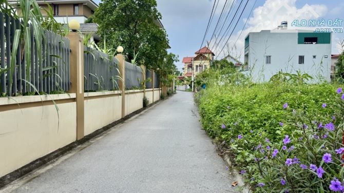 BÁN ĐẤT GIA LÂM - OTO ĐỖ CỬA - HÀNG XÓM OCEANPARK - CHUẨN ĐẦU TƯ - 1