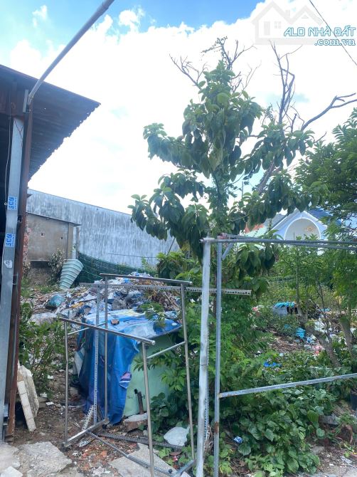 🏡 Bán lô đất chính chủ – vị trí vàng sát Đại học Kinh tế Luật 157m2 giá chỉ 9 tỷ - 1