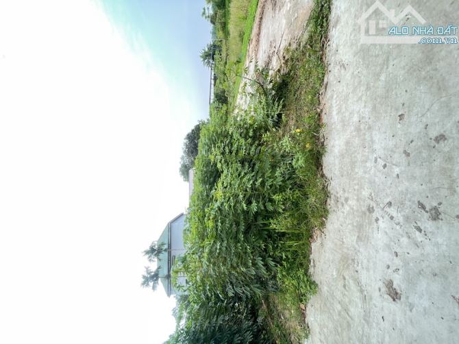 VIEW ĐỒNG THOÁNG MÁT- LÔ GÓC ĐƯỜNG OTO VÀO ĐẤT- GẦN CHỢ NAM CƯƠNG- 200m ĐƯỜNG TỈNH LỘ 35- - 1