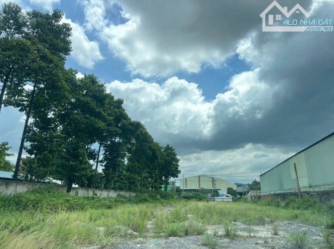 D331 Bán Lô đất SkC 2000m2 có 2 mặt tiền trước sau khu vực nhiều nhà xưởng Sx đang hiện hữ - 1