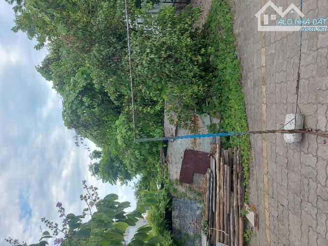 🌟 ĐẤT ĐẸP – NỞ HẬU – NGUYỄN ĐÌNH CHIỂU – 290M² – GIÁ 16 TỶ 🌟 - 1