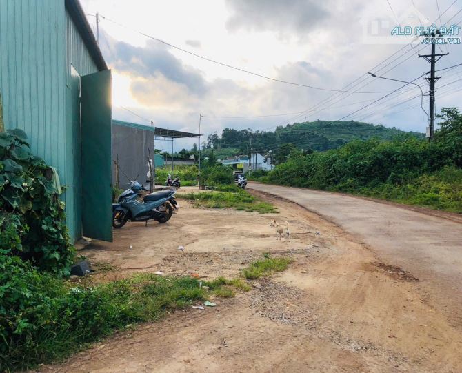 💥 Sang nhanh đất rộng mặt tiền Lý Chính Thắng - 1