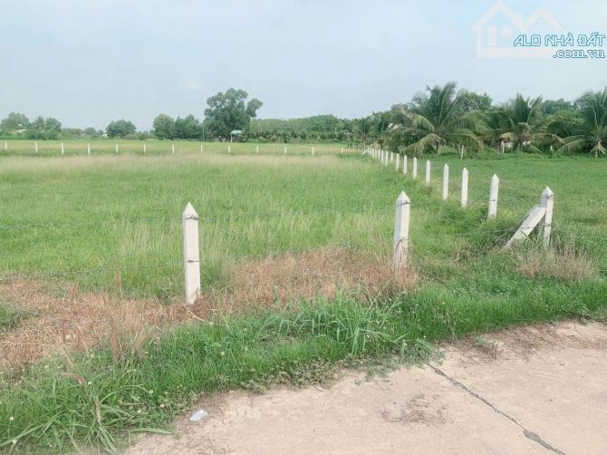 BÁN DẤT THỔ CƯ 55X40M MT ĐƯỜNG BÊ TÔNG GIÁ RẺ - 1