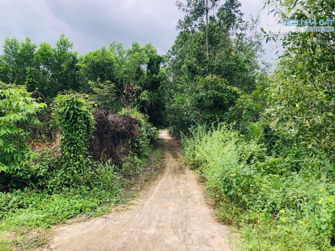 BÁN 7,6x35m (285,2m2) 150m2 thổ cư Thôn Đá Mài 1 Tân Xuân  Gía Siêu rẻ: 550 triệu - 1
