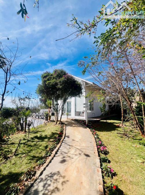 🏡✨ CHO THUÊ NHÀ NGHỈ DƯỠNG VIEW ĐẸP – ĐÀ LẠT ✨🏡 - 1