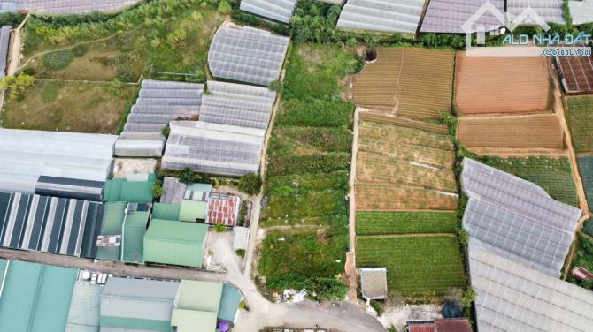 Cần bán lô đất 1100m2 Trịnh Hoài Đức - Đà Lạt. - 1
