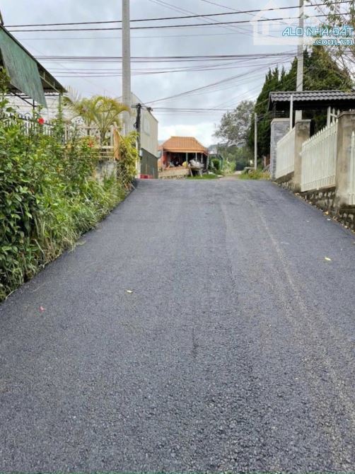 322m2 Đất Biệt Lập Đường Trần Quang Khải Gần Trường Đại Học Đà Lạt 13,5 Tỷ - 1