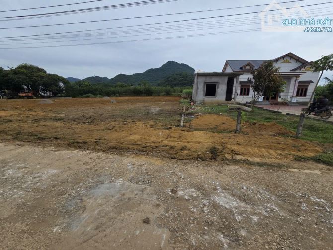ĐẤT VEN KHU CÔNG NGHIỆP LỚN- TRUNG TÂM HUYỆN- NGAY GẦN HÀ NỘI - 1