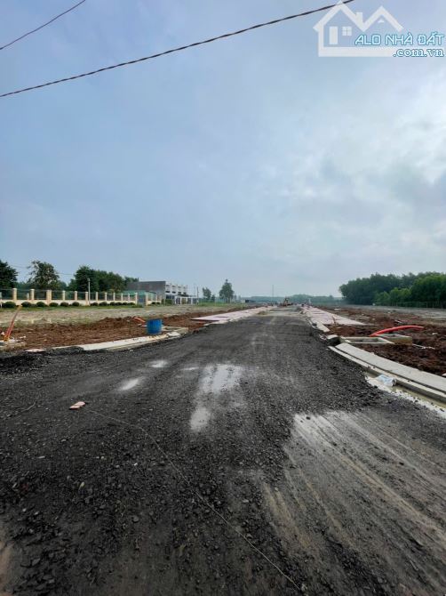 31 NỀN ĐỐI DIỆN KHU TĐC BÌNH LỢI - 1