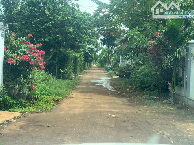 Bán đất hẻm cấp 1 Nguyễn xuân nguyên 6x30 giá bao đẹp - 1