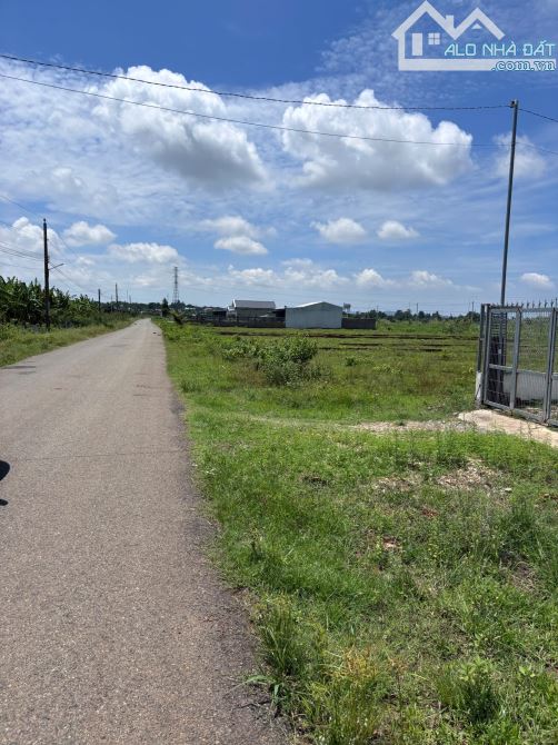 🌟 BÁN ĐẤT CHÍNH CHỦ – HOÀ LÒNG, TP.HCM 🌟 - 1