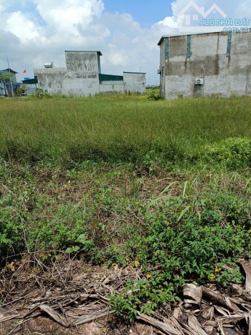 Bán đất - Chi Lăng,DT lớn,Làm xưởng SX,đầu tư sinh lời cao,đường ô tô,DT:2143m,Giá:5.15tỷ - 1
