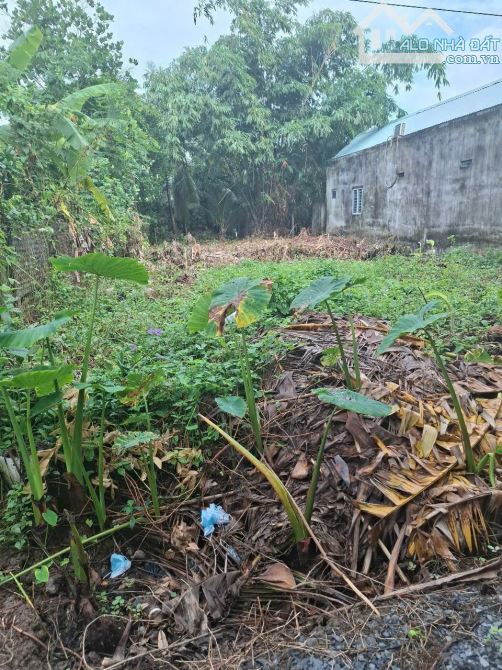 Cần bán lô đất mặt tiền đường xe hơi cách hương lộ 2 chỉ vài chục mét - 1
