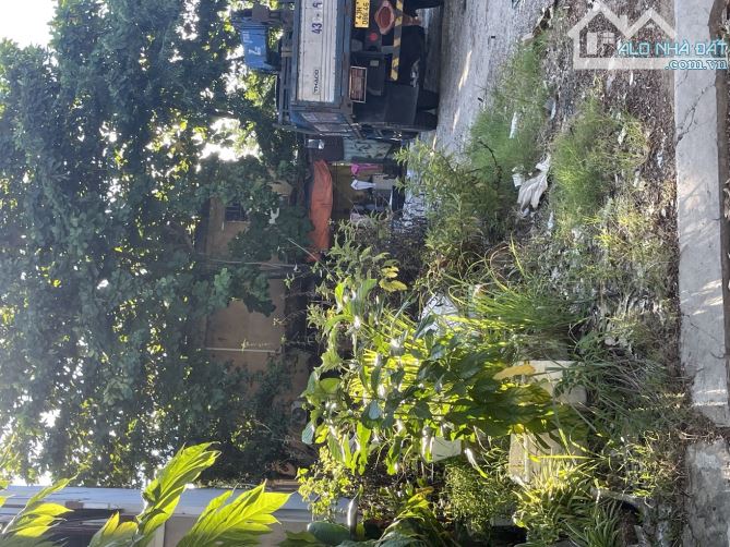 BÁN 2 LÔ ĐẤT LIỀN KỀ – ĐƯỜNG VŨ MIÊN, HÒA PHƯỚC, HÒA VANG, ĐÀ NẴNG Vị trí: Trục đường Vũ M - 1